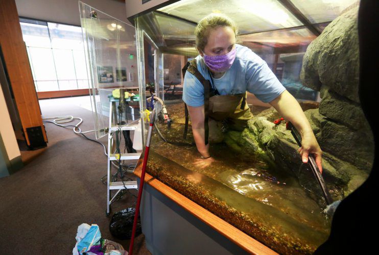 Aquarist/keeper Amanda Erlandson deep cleans a water snake exhibit at National Mississippi River Museum & Aquarium in Dubuque on Wednesday.    PHOTO CREDIT: NICKI KOHL