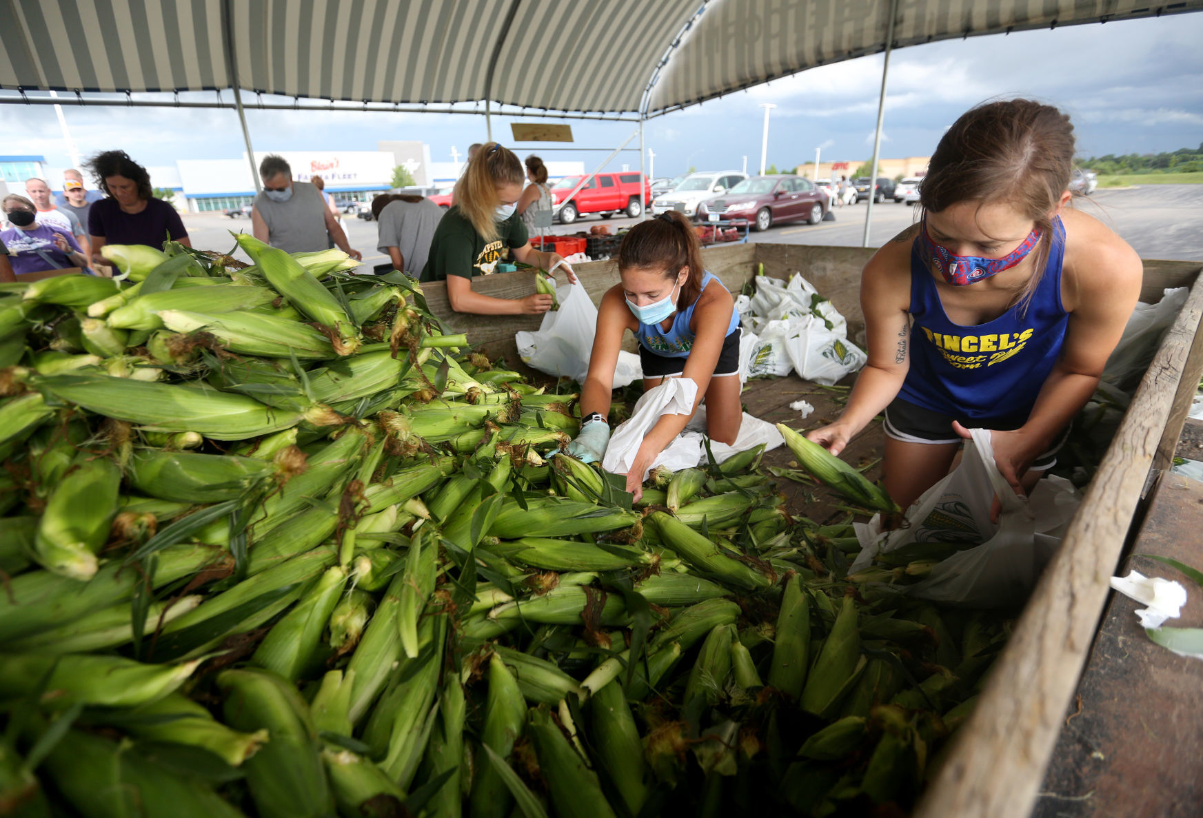 Ashlynn Murphy (from left), Jolyn Thomas and Natalie Marugg bag sweet corn during opening day of Fincel’s Sweet Corn at Blain’s Farm & Fleet parking lot in Dubuque on Saturday. Fincel’s also has a location at the former Shopko building at 255 John F. Kennedy Road. PHOTO CREDIT: JESSICA REILLY