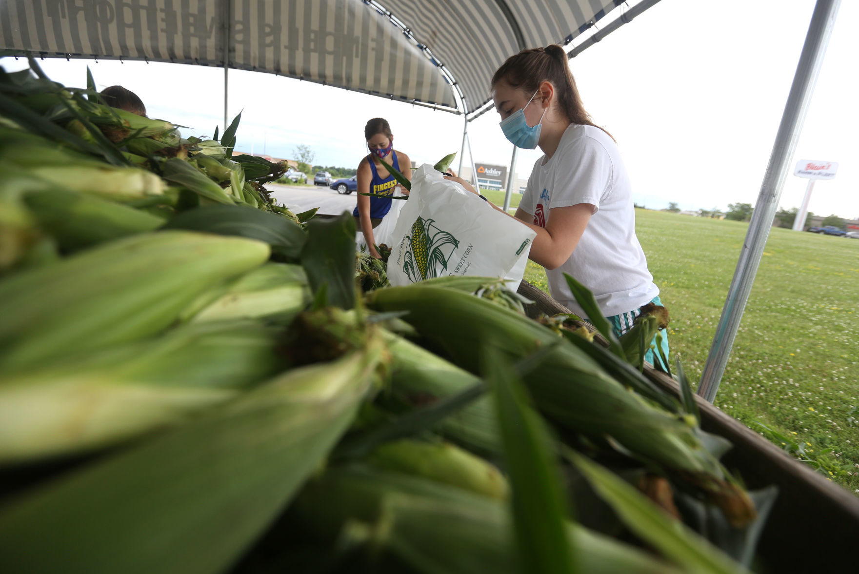 Natalie Marugg (left) and Kalie Sigman bag sweet corn during opening day of Fincel