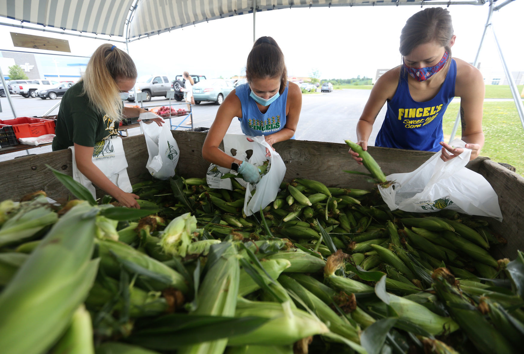 Ashlynn Murphy (from left), Jolyn Thomas and Natalie Marugg bag sweet corn during opening day of Fincel