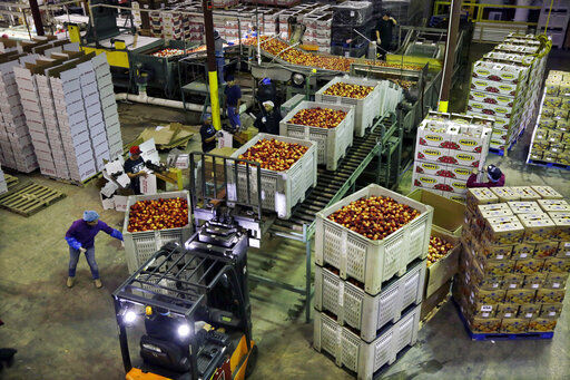 The Labor Department said U.S. wholesale prices increased 0.6% in July. PHOTO CREDIT: Mel Evans