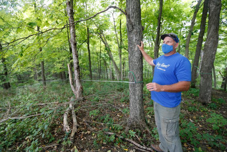 Dan Potter, owner of Great River Maple in Garnavillo, Iowa, checks on his lines that link all the maple trees so the sap can flow to holding tanks.    PHOTO CREDIT: Dave Kettering