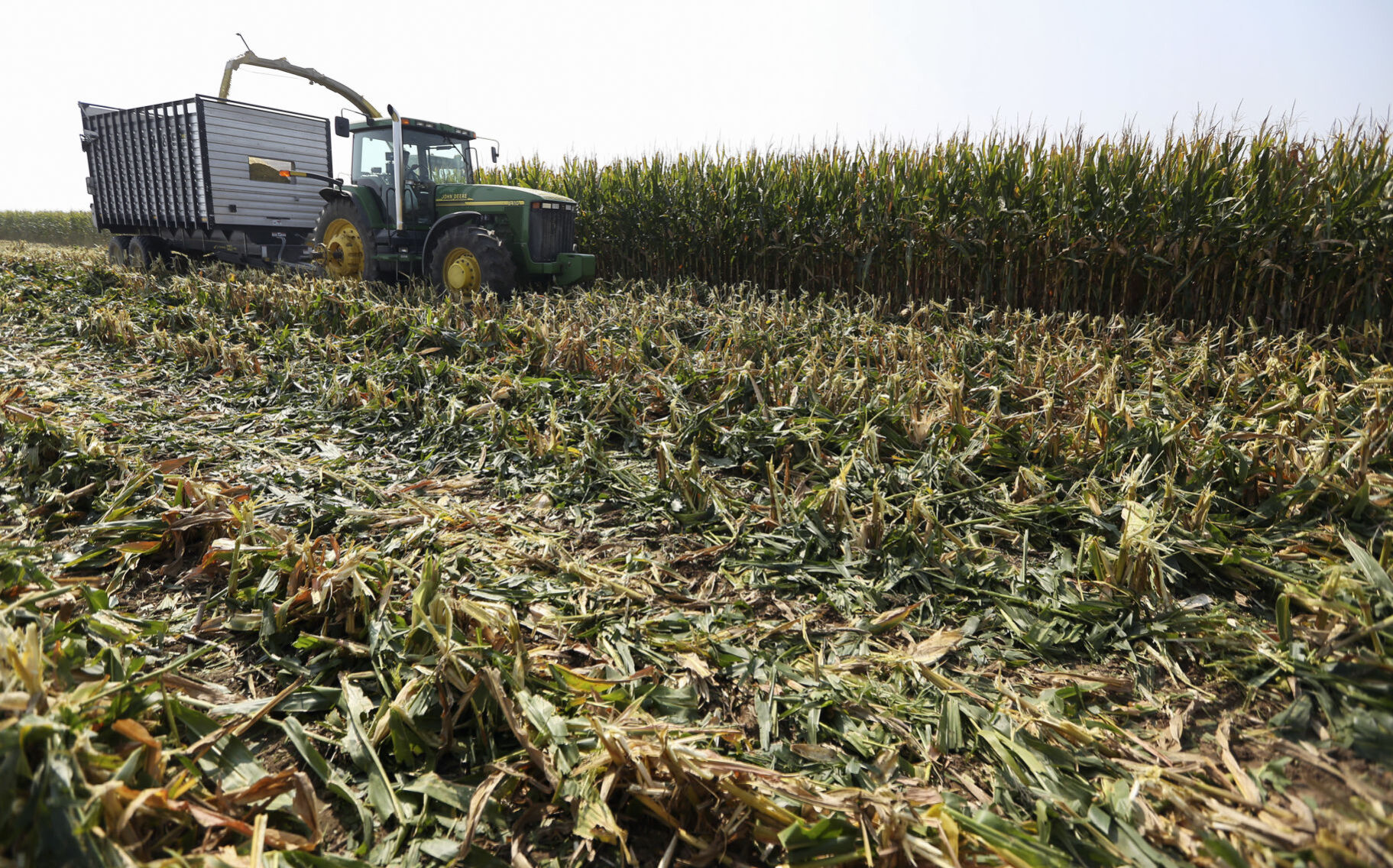 Earlage is chopped at the farm of Craig Recker, north of Dyersville, Iowa, on Tuesday, Sept. 22, 2020. PHOTO CREDIT: NICKI KOHL