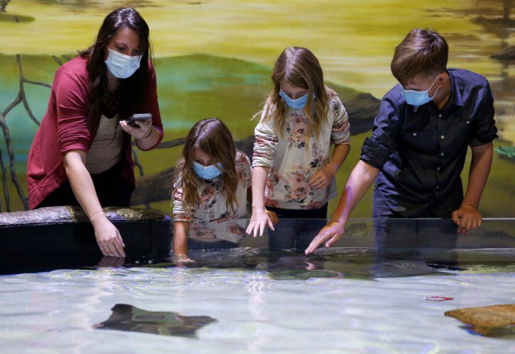 Amber Heins (from left), Jocelyn Heins, 7, Paisley Heins, 5, and Trevor Swenson, 11, all of Prairie du Chien, Wis., check out the stingray exhibit at National Mississippi River Museum & Aquarium in Dubuque. Tourist attractions have faced challenges during the pandemic. PHOTO CREDIT: NICKI KOHL