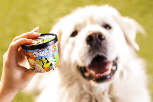 Ben & Jerry’s, the venerable Vermont ice cream company said, it’s introducing a line of frozen dog treats, its first foray into the lucrative pet food market.  PHOTO CREDIT: HONS