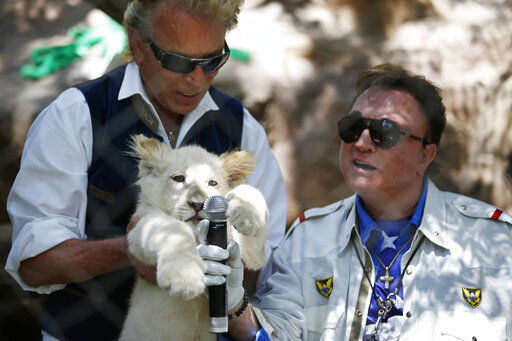 FILE - In this Thursday, July 17, 2014, file photo, Siegfried Fischbacher, left, holds up a white lion cub as Roy Horn holds up a microphone during an event to welcome three white lion cubs to Siegfried & Roy