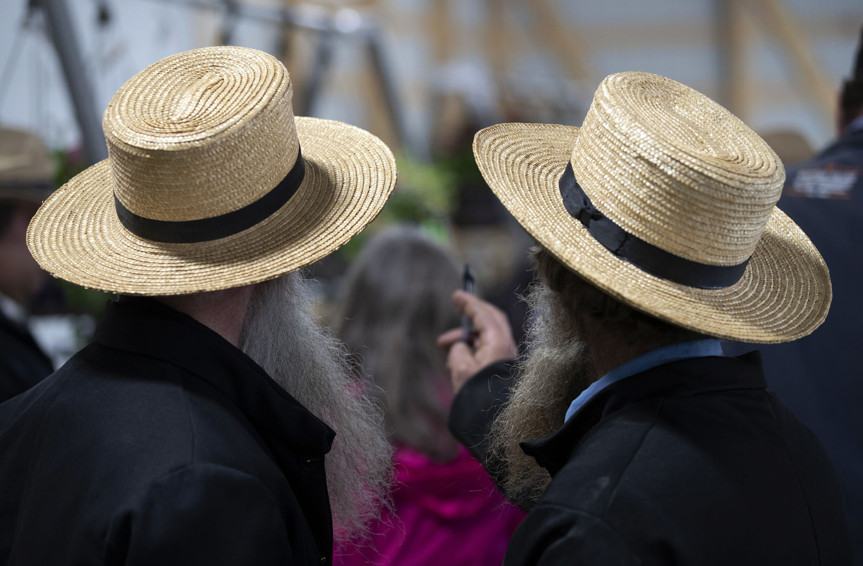 Attendees watch as flowers are put up for auction at Platteville (Wis.) Produce Auction on Friday. PHOTO CREDIT: Stephen Gassman