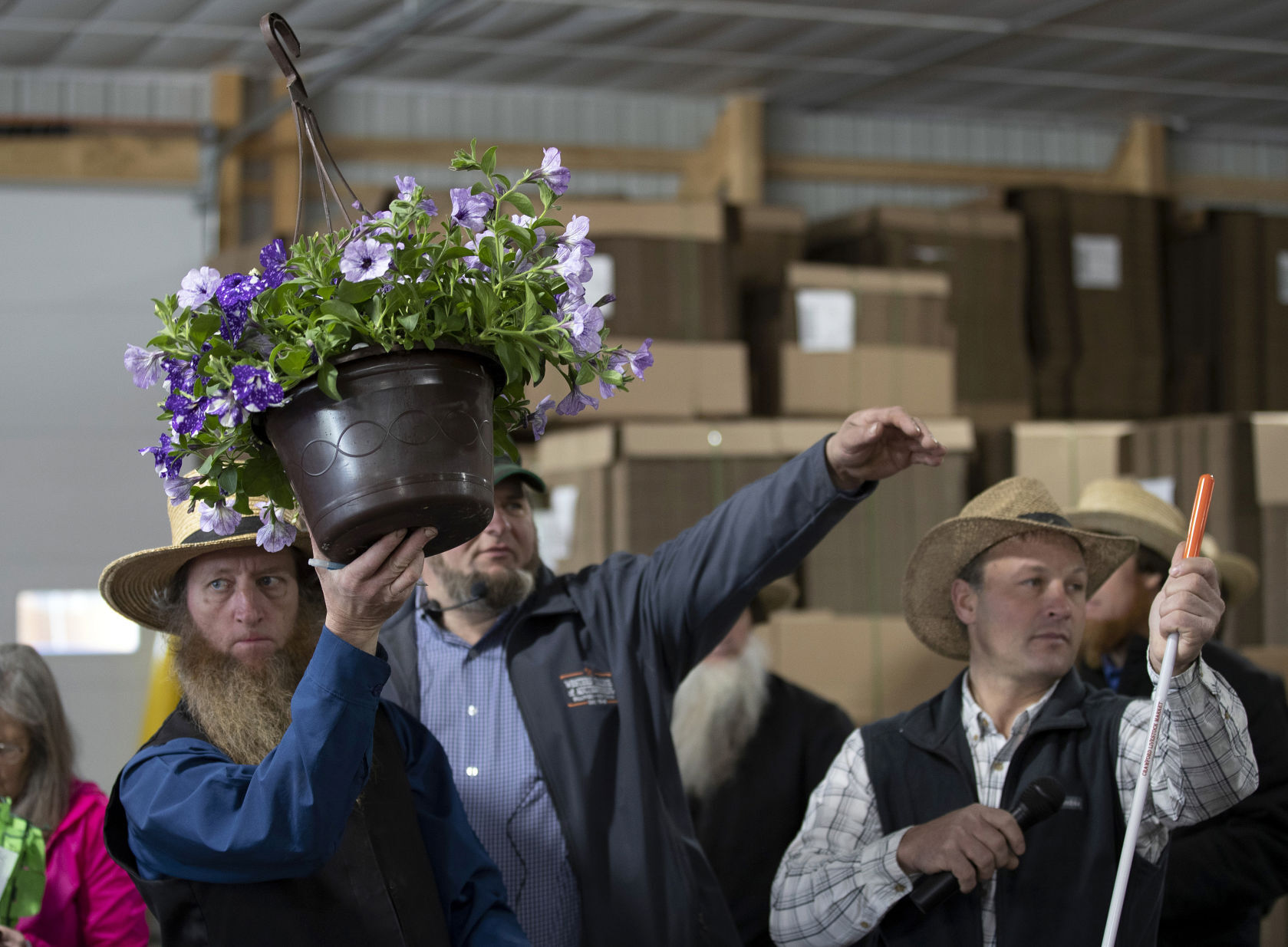 Amos Beiler holds up a basket of flowers as auctioneer Eugene Hostetler and manager Kevin Hall watch for bids at Platteville (Wis.) Produce Auction on Friday. PHOTO CREDIT: Stephen Gassman