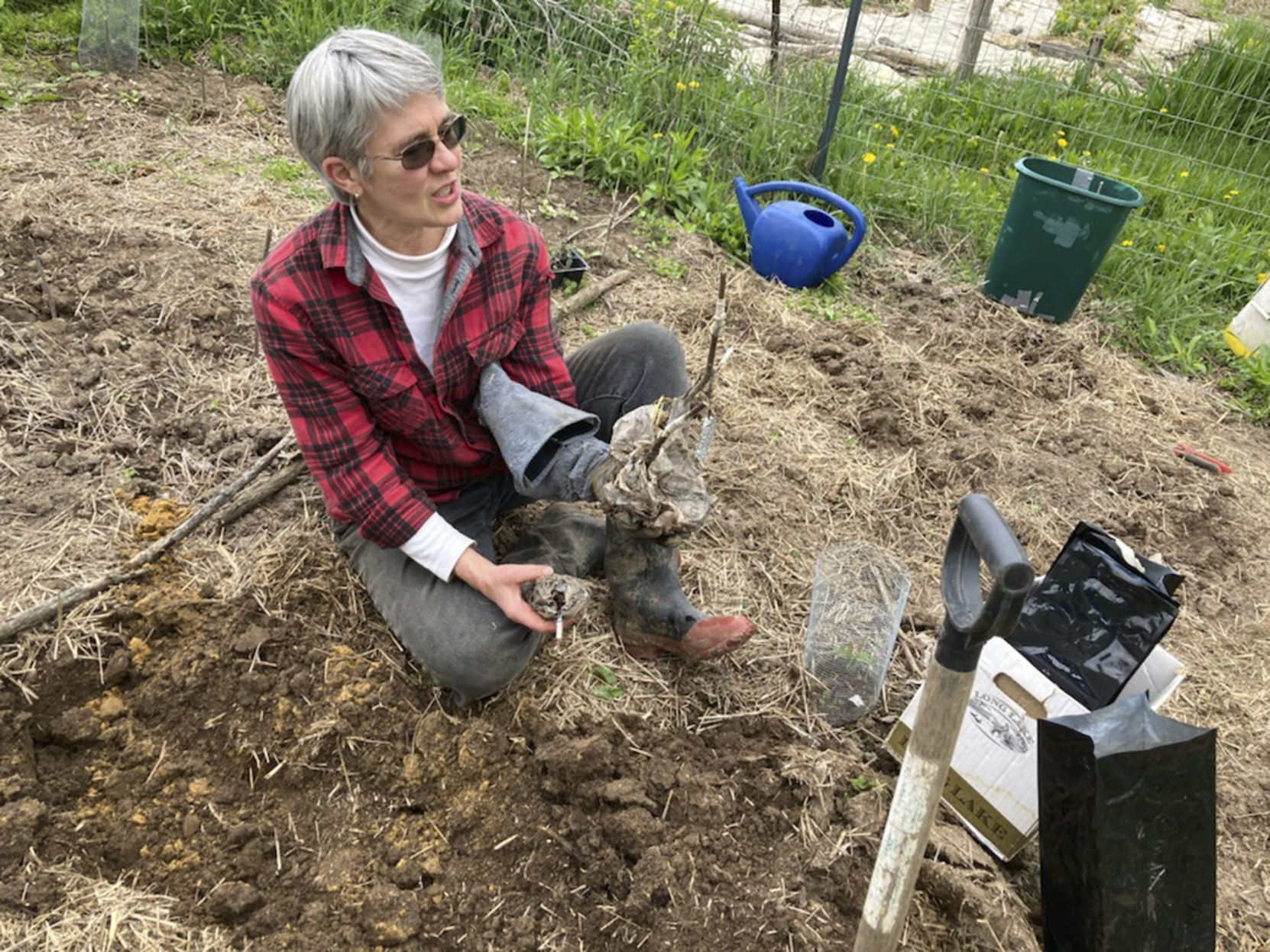 Margaret Krome, policy program director at the Michael Fields Agricultural Institute and a participant in Wisconsin Women in Conservation, plants trees on her Grant County property, where she has implemented land-management techniques. 