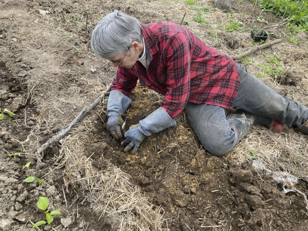 Margaret Krome, policy program director at the Michael Fields Agricultural Institute, and member of Wisconsin Women in Conservation, works on her Grant County property.    PHOTO CREDIT: Contributed