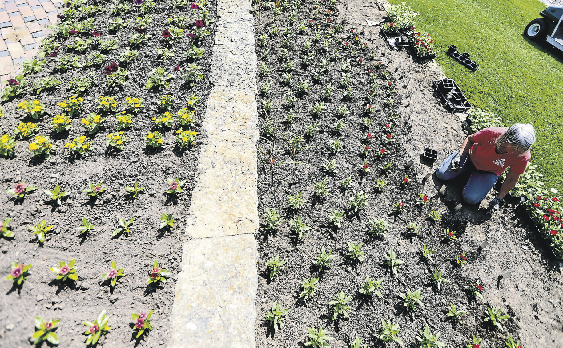 Volunteer Pat Puls helps plant hundreds of flowers at Dubuque Arboretum and Botanical Gardens.    PHOTO CREDIT: Dave Kettering