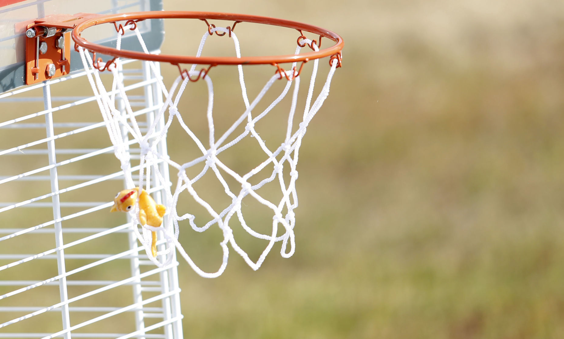A rubber chicken hangs in a basketball net during one of the games at the Area Residential Care Corporate and Community game night at the Port of Dubuque on Friday, June 11, 2021.    PHOTO CREDIT: Katie Goodale