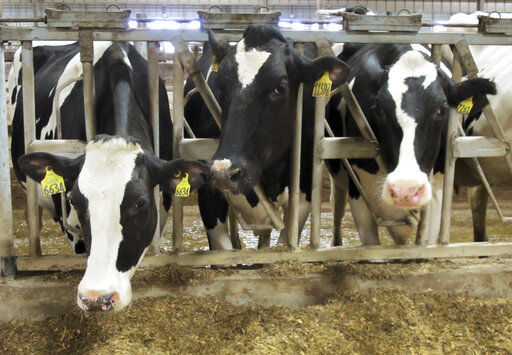 Wisconsin regulators can impose operating conditions on factory farms and consider high-capacity wells