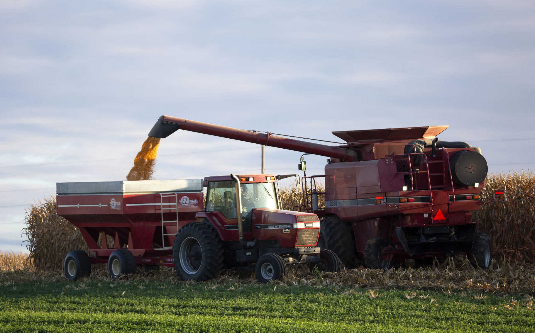 A combine empties corn into a grain wagon on a farm near Platteville, Wis., last week.    PHOTO CREDIT: Stephen Gassman