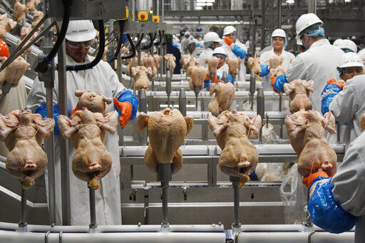 FILE - In this Dec. 12, 2019, file photo workers process chickens at a poultry plant, in Fremont, Neb. Federal health officials are rethinking their approach to controlling salmonella in poultry plants in the hope of reducing the number of illnesses linked to the bacteria each year. The USDA says the industry has succeeded in reducing the level of salmonella contamination found in poultry plants in recent years, but that hasn’t translated into a significant reduction in the 1.35 million salmonella illnesses reported each year.(AP Photo/Nati Harnik, File)    PHOTO CREDIT: Nati Harnik