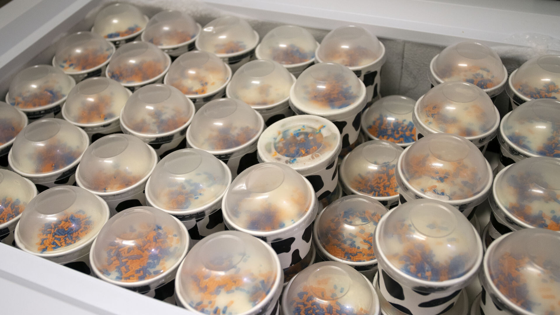 Dishes of ice cream sit in a freezer at the Pioneer Sweets production facility at the University of Wisconsin-Platteville on Monday, Oct. 18, 2021.    PHOTO CREDIT: Stephen Gassman