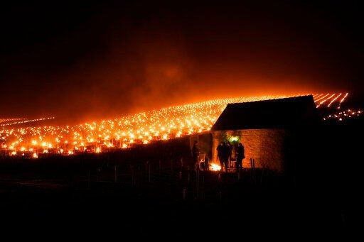 Winegrowers warm themselves around a fire as anti-frost candles burn in a vineyard to protect blooming buds and flowers from the frost, in Chablis, Burgundy region, France. Plunging April temperatures around France are threatening vineyards and other important crops.    PHOTO CREDIT: Thibault Camus