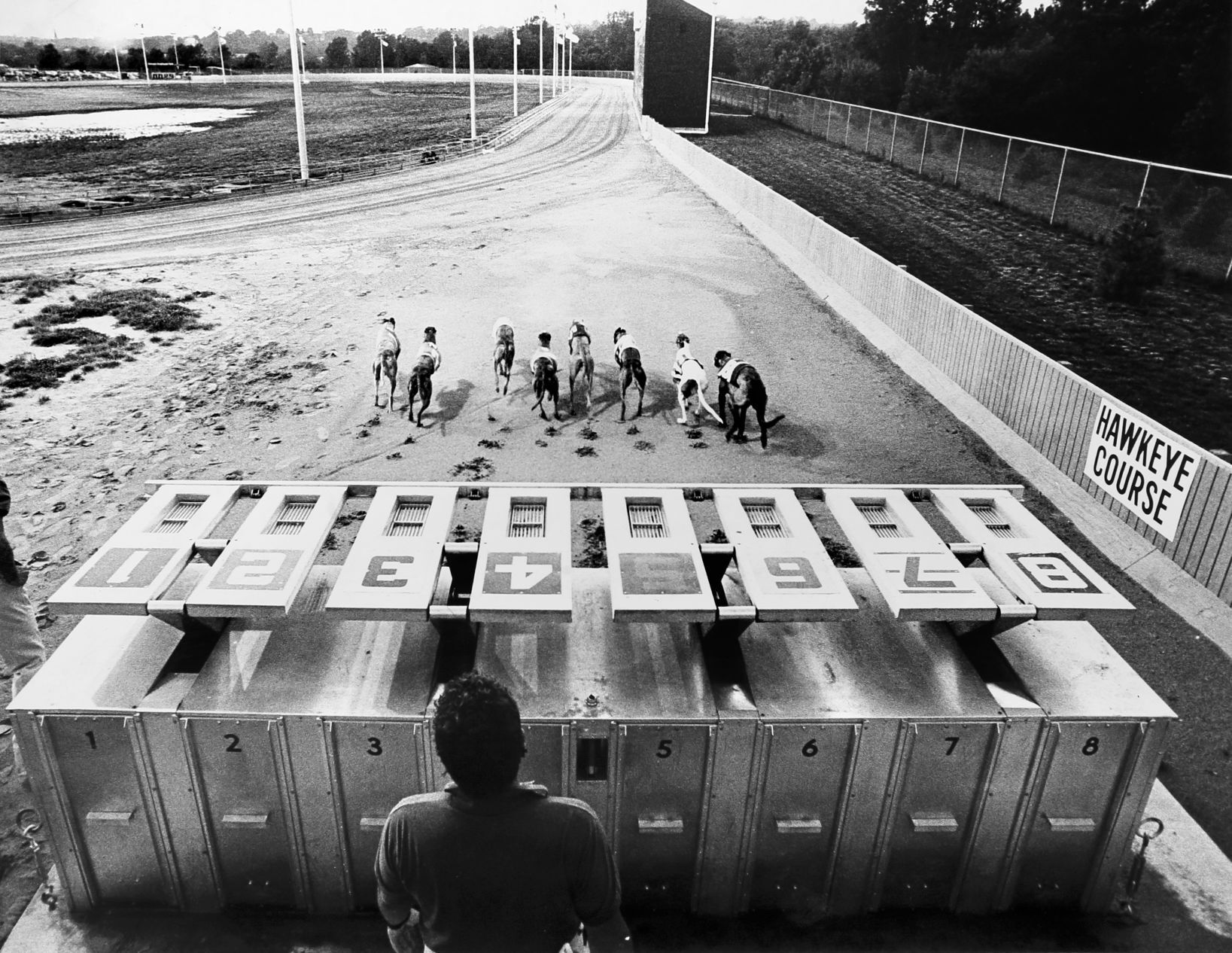 Dogs race at Dubuque Greyhound Park in 1986, a year after it opened.    PHOTO CREDIT: Telegraph Herald file