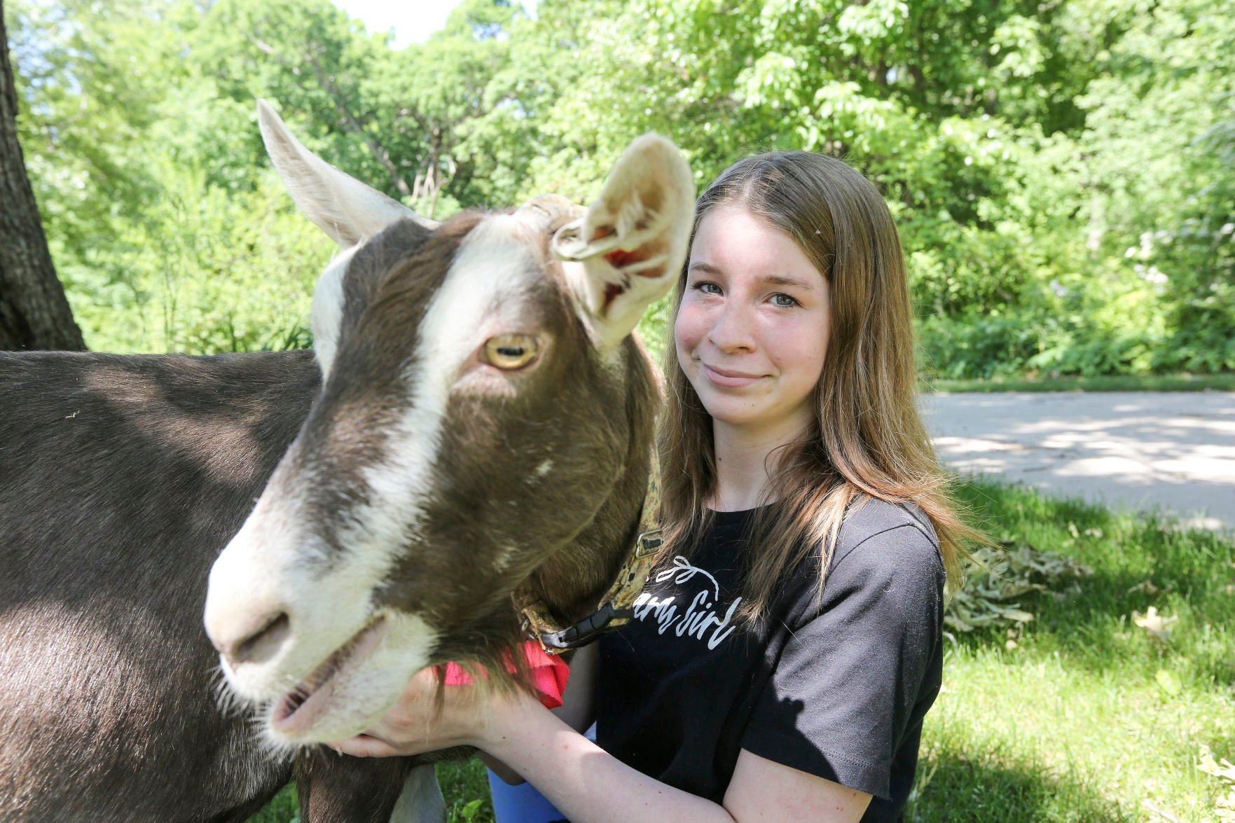 Taylor Hilkin, 13, seen here with her goat, Fern, was a finalist at the Hy-Vee OpportUNITY Inclusive Business Summit in Cedar Rapids recently where she pitched her business, Crazy Goat Soap, in a “Shark Tank”-style competition.    PHOTO CREDIT: Dave Kettering
