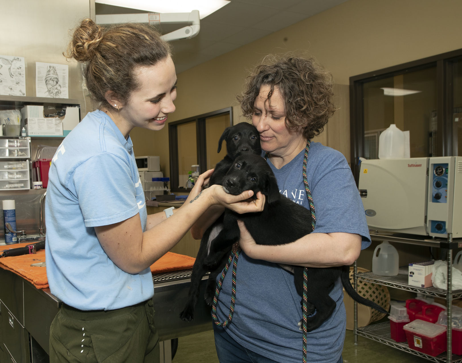 Executive Director Noelle Chesney (right) and Isabelle Schaefer look over two puppies in the clinic at Dubuque Regional Humane Society.    PHOTO CREDIT: Stephen Gassman