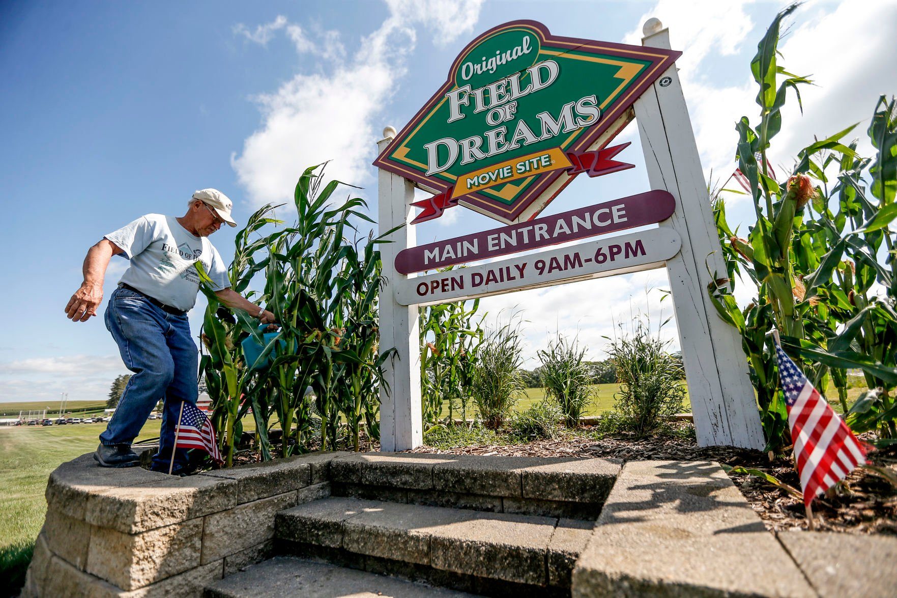 Field of Dreams employee Clarence Heacock waters the corn surrounding the entrance sign at the movie site located in Dyersville, Iowa on Monday.    PHOTO CREDIT: Dave Kettering