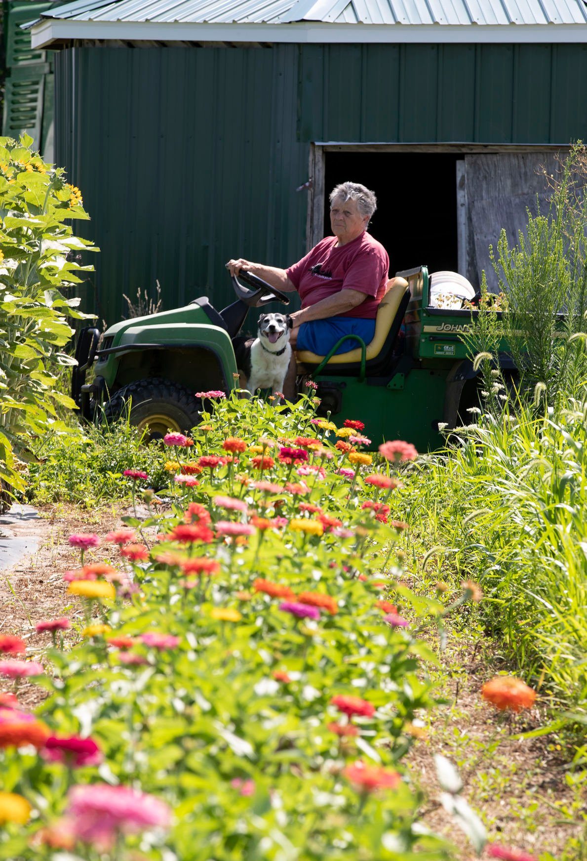 Carolann Kruse drives a utility vehicle past a flower garden on her family’s farm in rural Lancaster, Wis., on Wednesday, July 27, 2022.    PHOTO CREDIT: Stephen Gassman