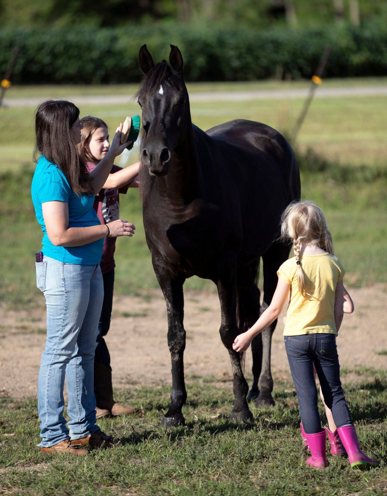 Katrina, (left) Cassidy and Kinsey Gleason groom a horse on their rural Shullsburg, Wis., farm on Tuesday, August 16, 2022.    PHOTO CREDIT: Stephen Gassman