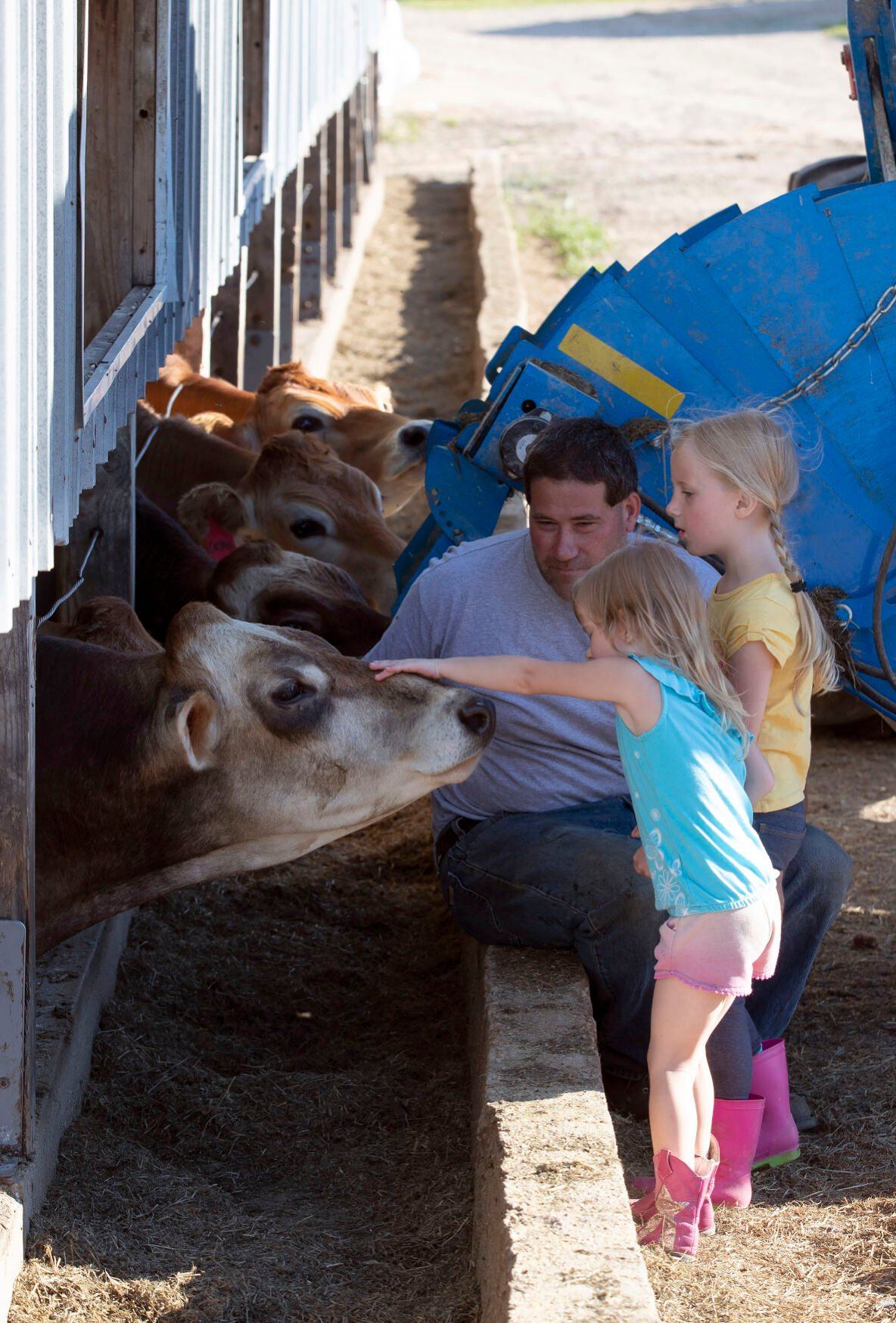 Chad, Kinsey, 6, and Layne Gleason, 4 pet some cattle on their rural Shullsburg, Wis., farm on Tuesday, August 16, 2022.    PHOTO CREDIT: Stephen Gassman