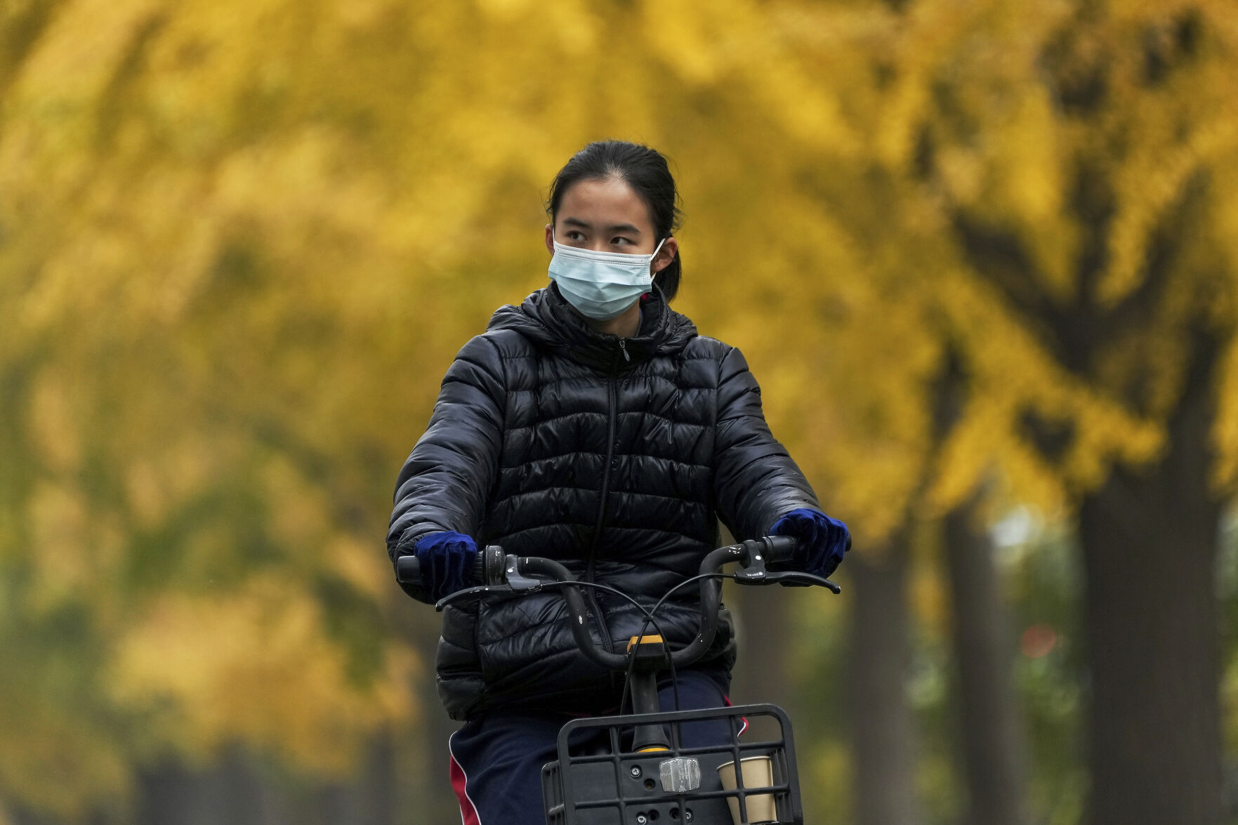 <p>A woman wearing a face mask rides past autumn-colored ginkgo trees along a street in Beijing, Sunday, Oct. 30, 2022. (AP Photo/Andy Wong)</p>   PHOTO CREDIT: Andy Wong - staff, AP