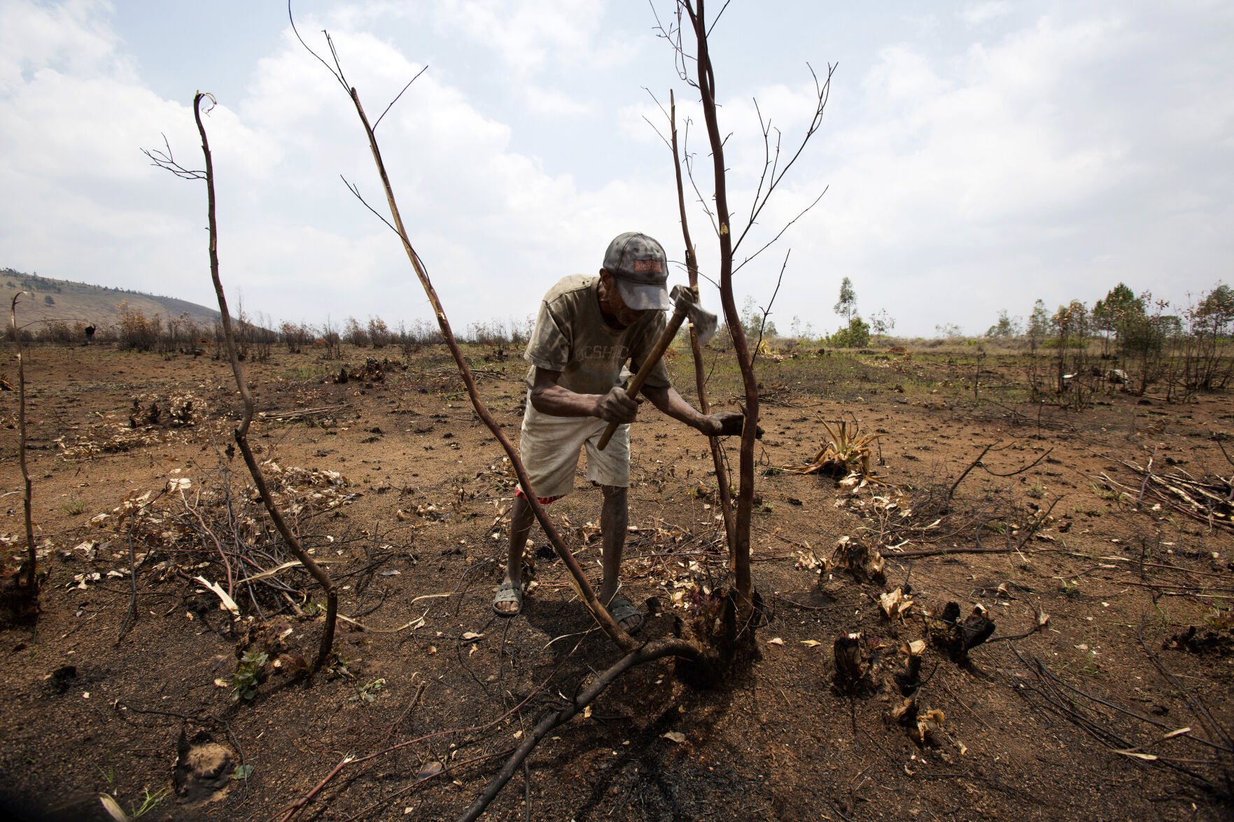 <p>FILE - A farmer chops down what is left of a tree in a burnt down forest in Ankazobe, Madagascar, Nov. 5, 2022. Parts of the forest, west of the capital Antananarivo, were set on fire to make way for farming and firewood. Nearly 50 heads of states or governments on Monday will take the stage in the first day of “high-level” international climate talks in Egypt with more to come in following days. (AP Photo/Alexander Joe, File)</p>   PHOTO CREDIT: Alexander Joe - stringer, AP