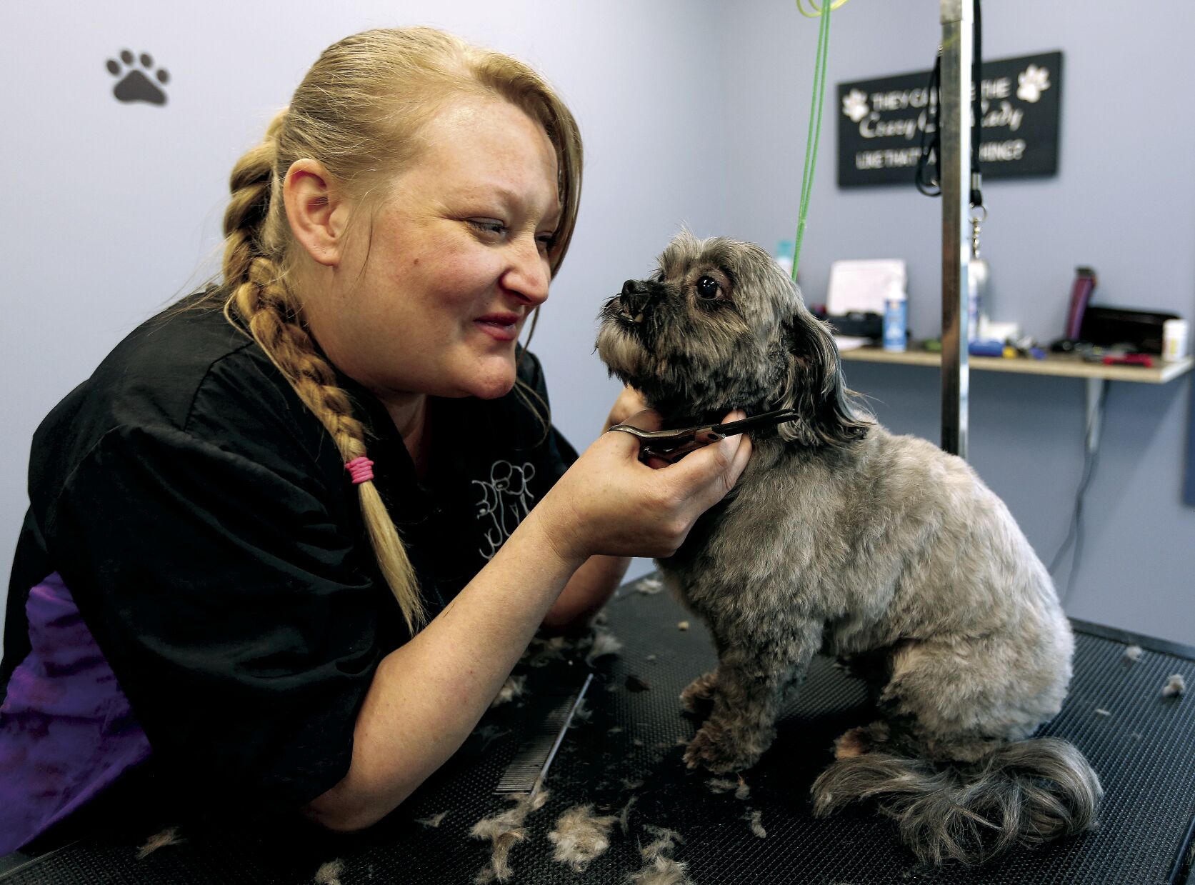 Nikki Hargrove, co-owner of F.U.R. On 14th, works on grooming a dog last week.    PHOTO CREDIT: Dave Kettering