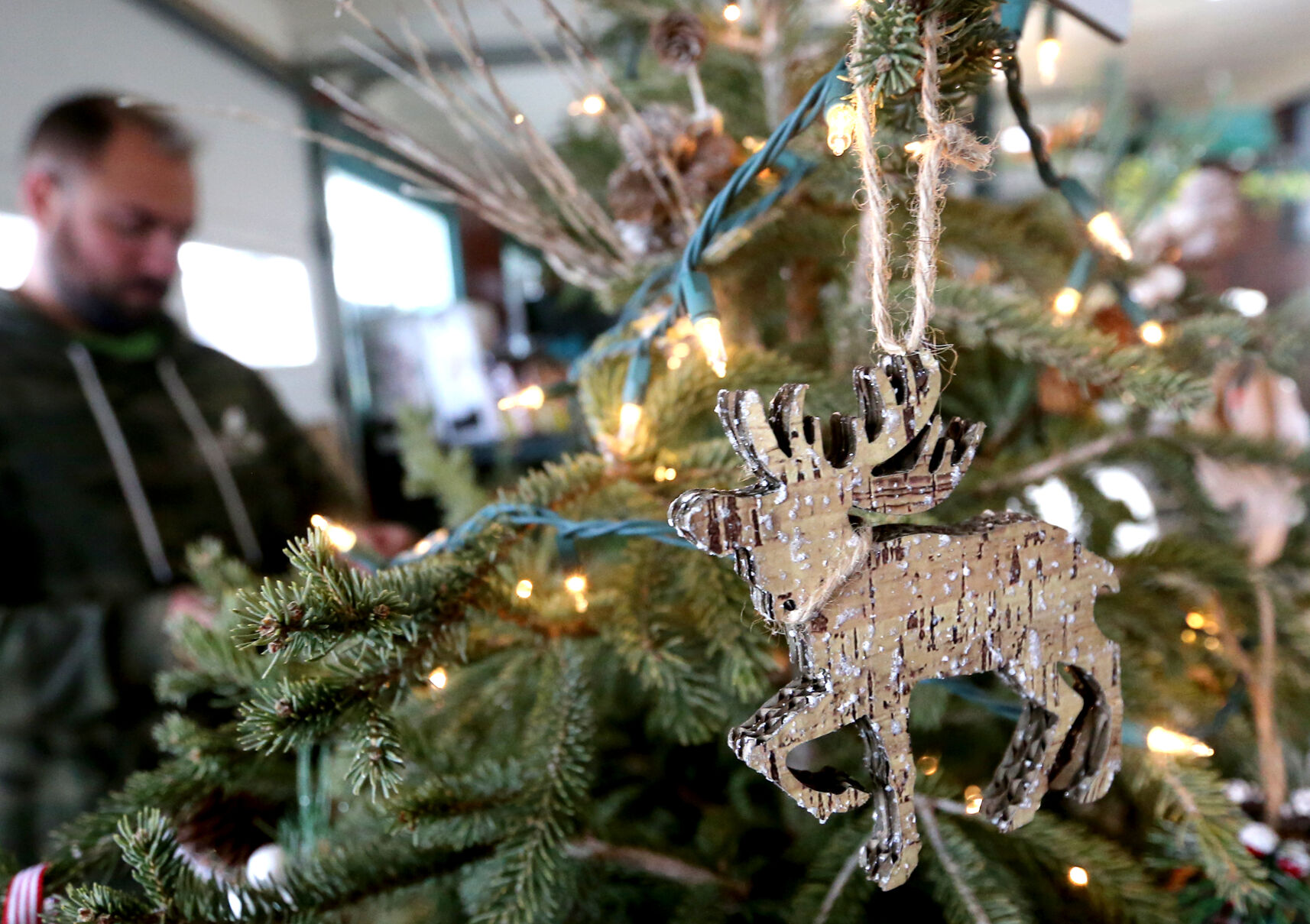 An ornament hangs from one of the trees displayed at the nursery.    PHOTO CREDIT: JESSICA REILLY, Telegraph Herald