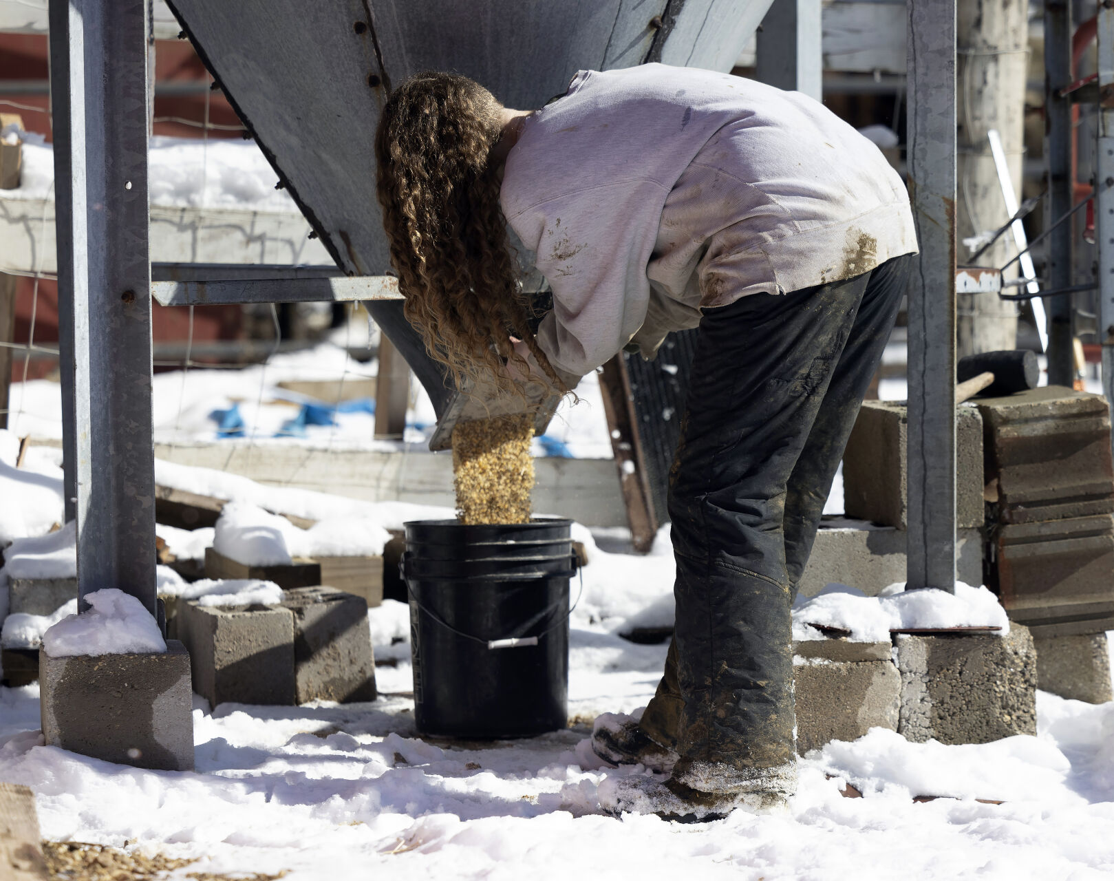 Caroline Kilian, 15, pours feed into a bucket at Oak Hollow Farm in rural Platteville, Wis., on Friday, Feb. 17, 2023.    PHOTO CREDIT: Stephen Gassman
Telegraph Herald