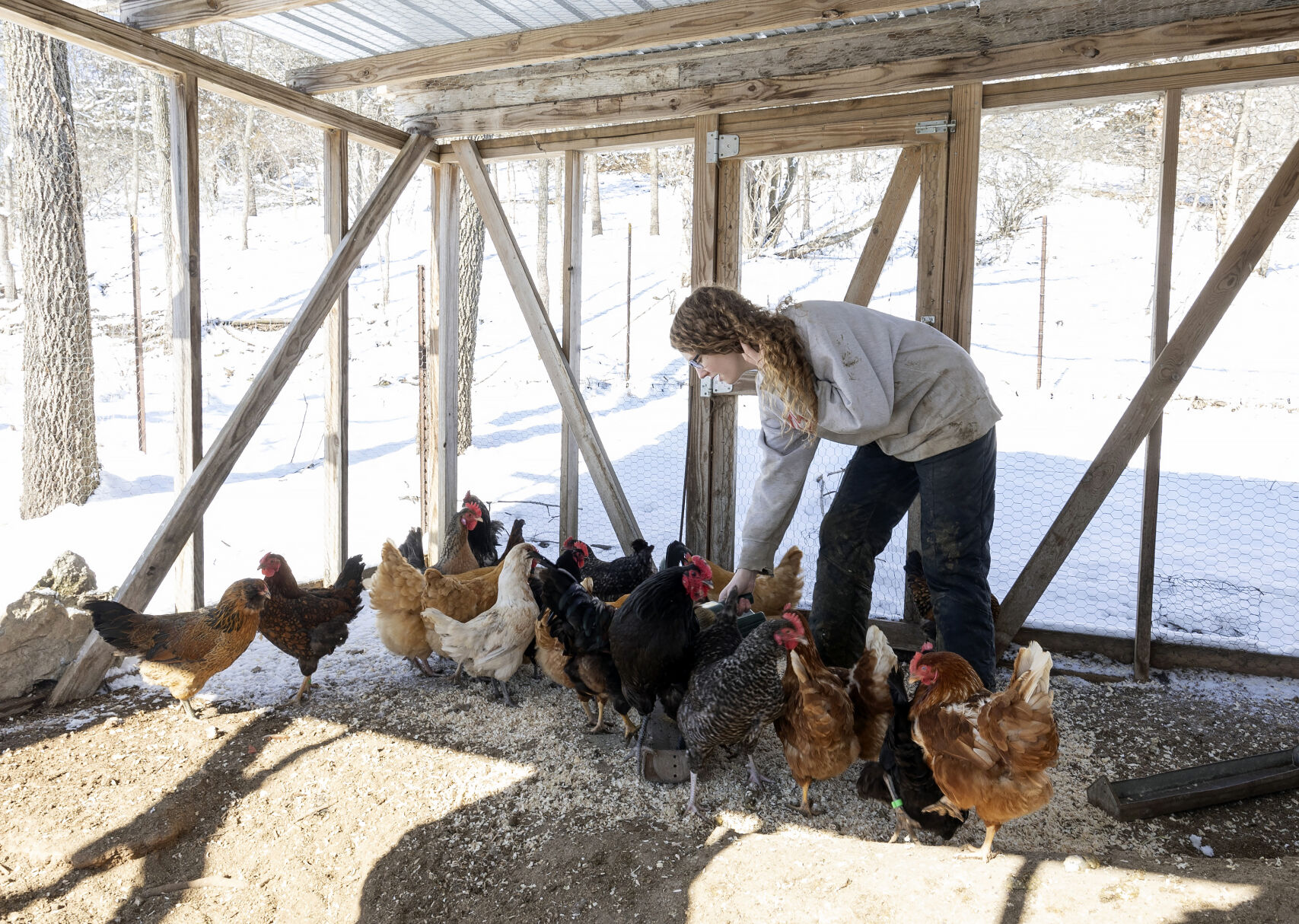Caroline Kilian, 15, feeds the chickens at Oak Hollow Farm in rural Platteville, Wis. The family offers eggs and beef as a sixth generation of Wisconsin farmers.    PHOTO CREDIT: Stephen Gassman
Telegraph Herald