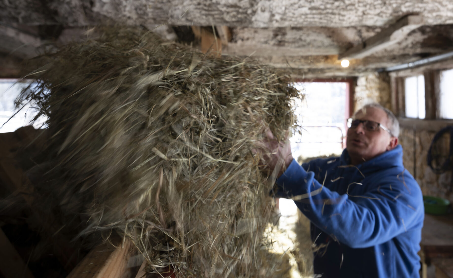 Kerwin Kilian gives hay to the cattle at Oak Hollow Farm in rural Platteville, Wis.    PHOTO CREDIT: Stephen Gassman
Telegraph Herald