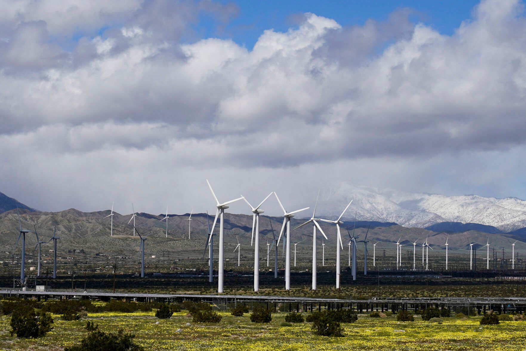 <p>FILE - Wind turbines stand in fields near Palm Springs, Calif, March 22, 2023. Electricity generated from renewables surpassed coal in the United States for the first time in 2022, the U.S. Energy Information Administration announced Monday, March 27, 2023. (AP Photo/Ashley Landis, File)</p>   PHOTO CREDIT: Ashley Landis 