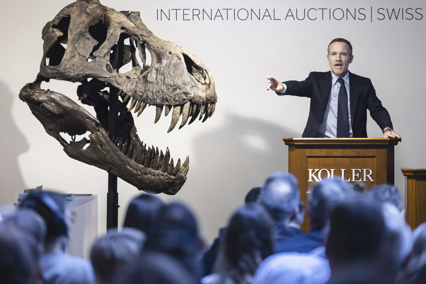 <p>Cyril Koller, CEO of auction house Koller, stands next to the head of the skeleton of a Tyrannosaurus rex named Trinity, during an auction in Zurich, Switzerland on Tuesday, April 18, 2023. The 293 T. rex bones were assembled into a growling posture that measures 11.6 meters long (38 feet long) and 3.9 meters high (12.8 feet high. The skeleton is expected to fetch 5 million to 8 million Swiss francs ($5.6-$8.9 million). (Michael Buholzer/Keystone via AP)</p>   PHOTO CREDIT: Michael Buholzer - foreign subscriber, Keystone