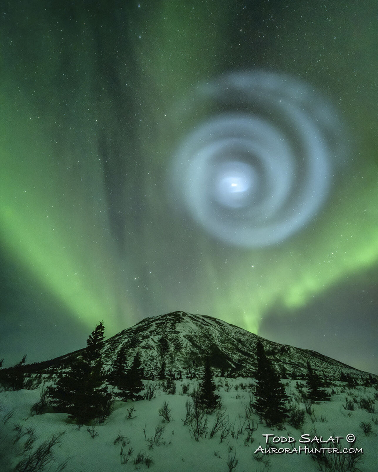 <p>In this photo provided by Todd Salat, northern light enthusiasts got a surprise early April 15, 2023, when something odd was mixed in with the green bands of light dancing above the Donnelly Dome near Delta Junction, Alaska. A light baby blue spiral resembling a galaxy appeared amid the aurora for a few minutes. The spiral was formed when excess fuel that had been released from a SpaceX rocket that launched from California about three hours earlier turned to ice, and then the water vapor reflected the sunlight in the upper atmosphere. (Todd Salat via AP)</p>   PHOTO CREDIT: Todd Salat - handout one time use, Todd Salat