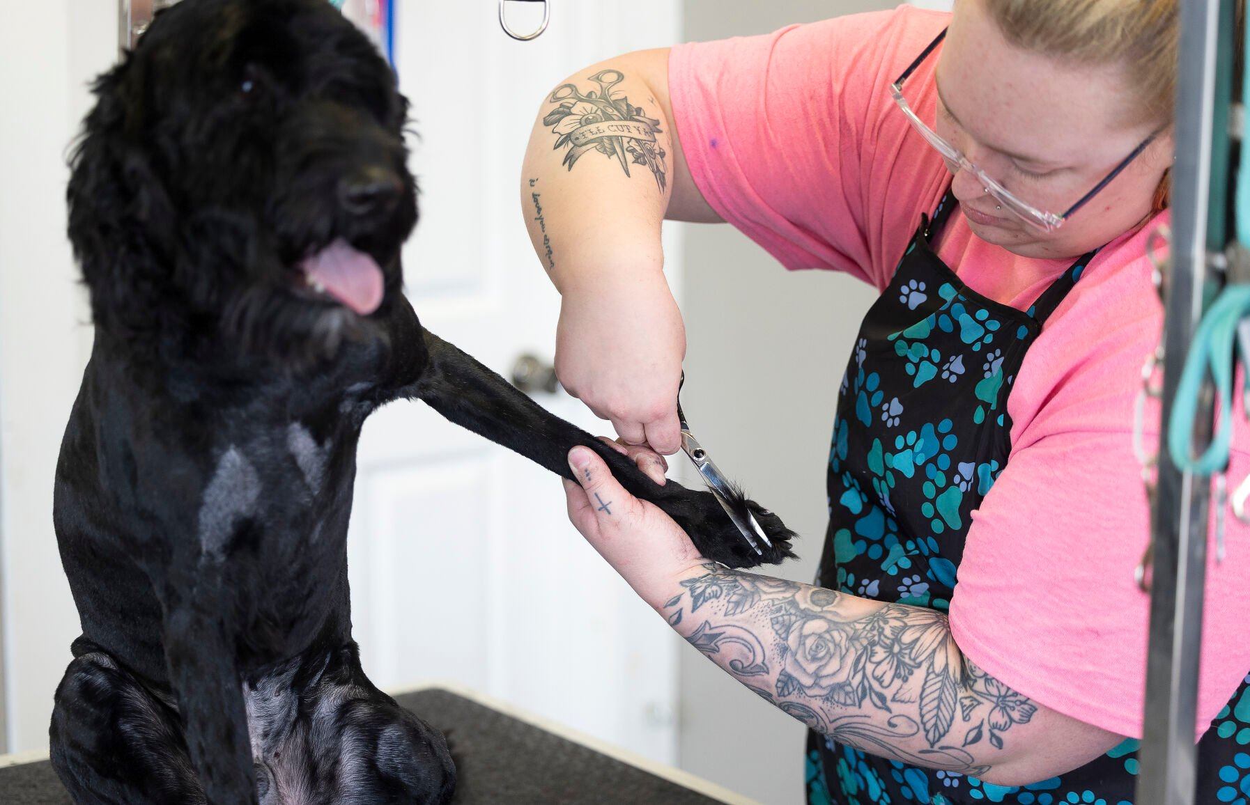 Owner Natalie Hazewinkel grooms dog Angus at Club Pawsh Grooming in Dubuque on Friday, May 5, 2023.    PHOTO CREDIT: Stephen Gassman