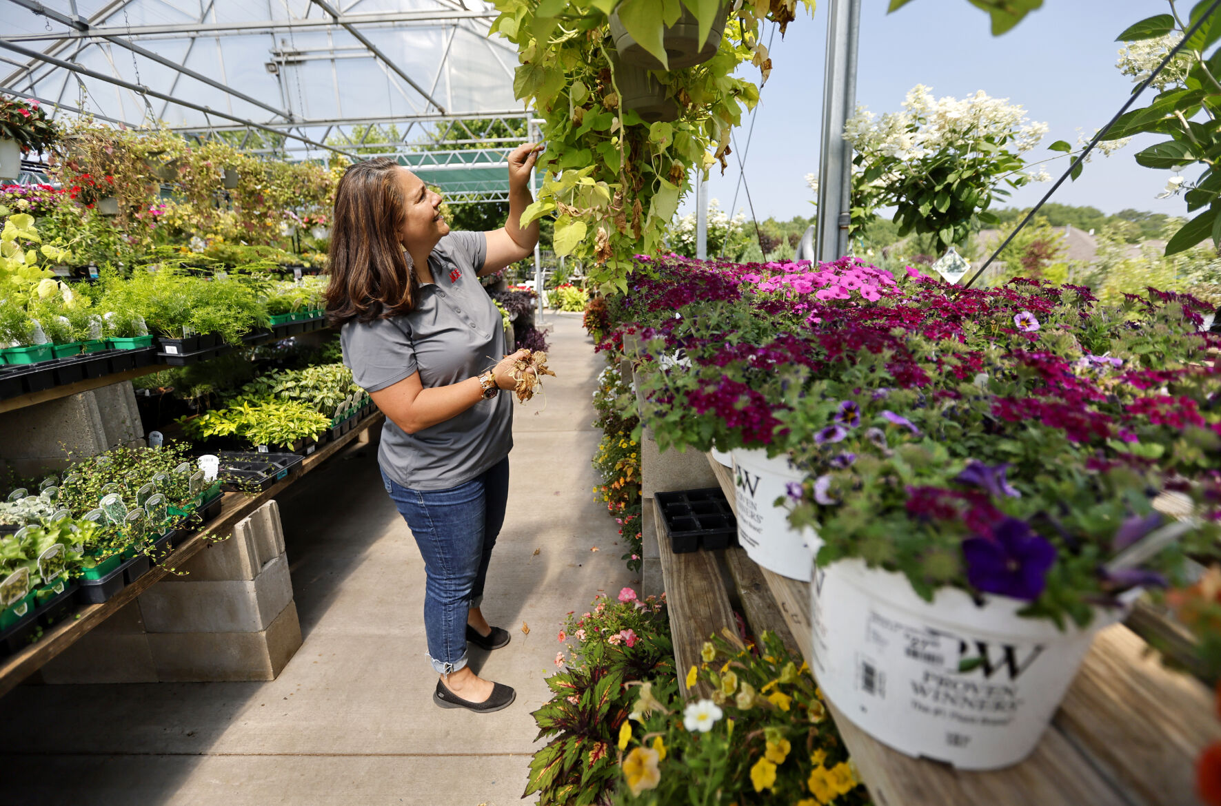 Stacy Raap, marketing and communications manager at Steve’s Ace Home & Garden, arranges displays at the facility in Dubuque.    PHOTO CREDIT: Jessica Reilly