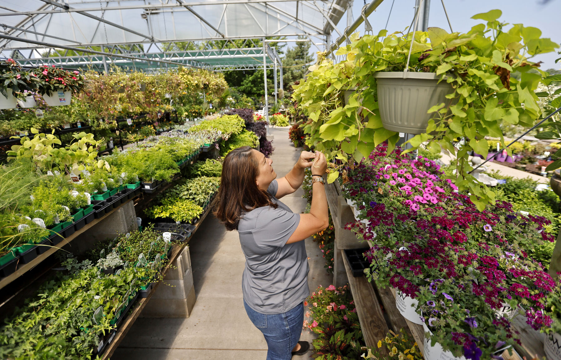 Stacy Raap, marketing and communications manager at Steve’s Ace Home & Garden, arranges displays at the facility in Dubuque.    PHOTO CREDIT: Jessica Reilly