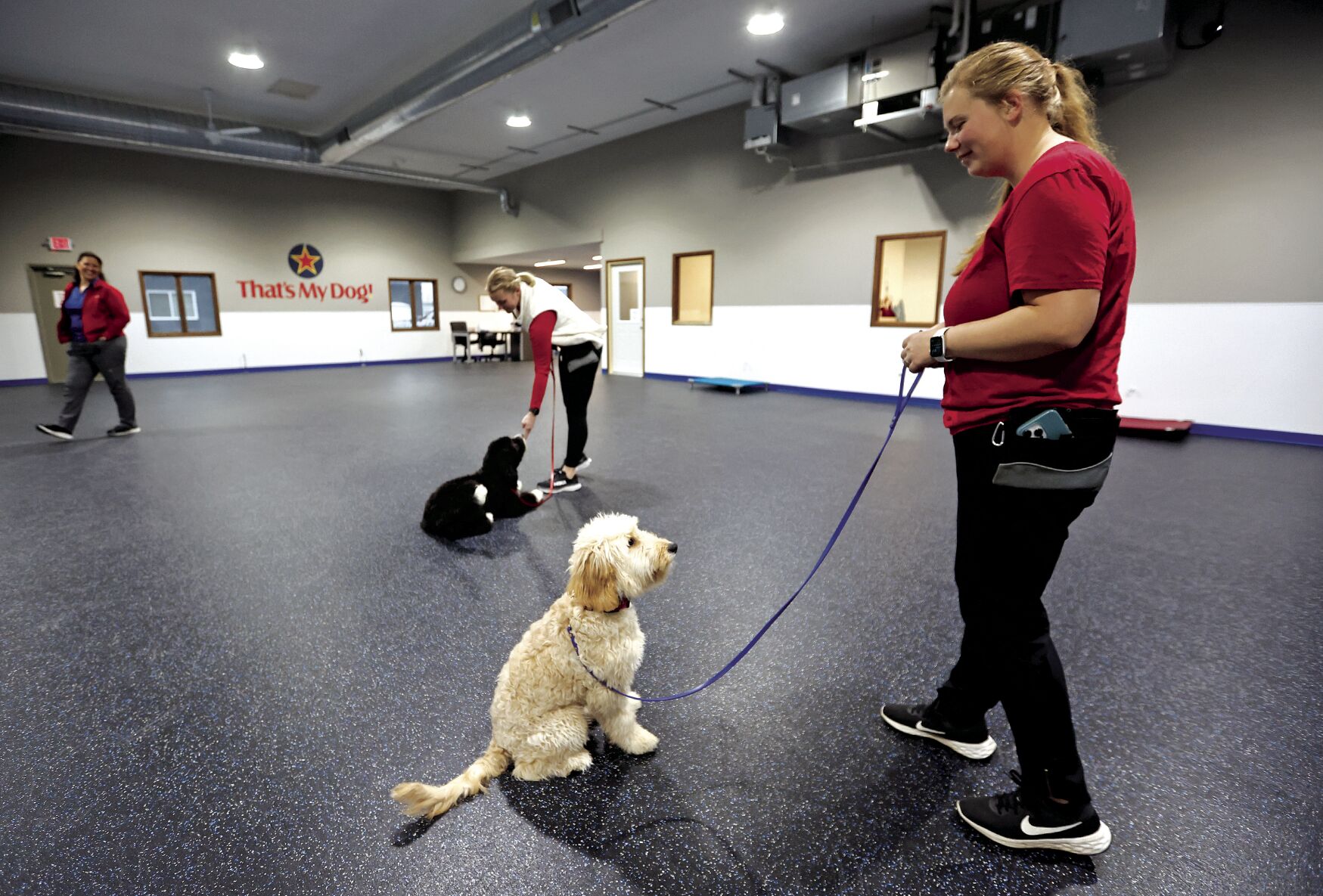 Tracy Clemens (center) works with Daisy while Madison Naeger (right) works on commands with Olive at That’s My Dog! in Dubuque. The business has expanded its space and services.    PHOTO CREDIT: JESSICA REILLY