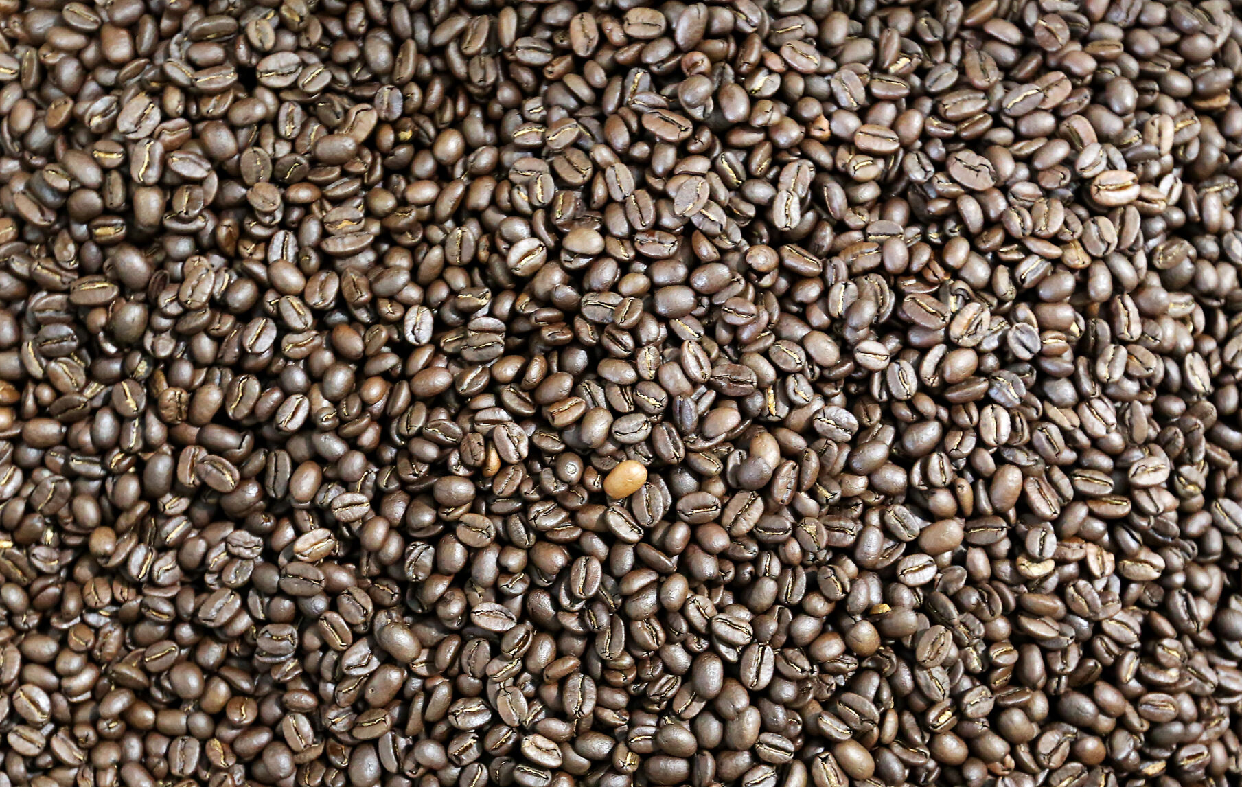 Roasted coffee beans at Wayfarer Coffee in Dubuque.    PHOTO CREDIT: File photo