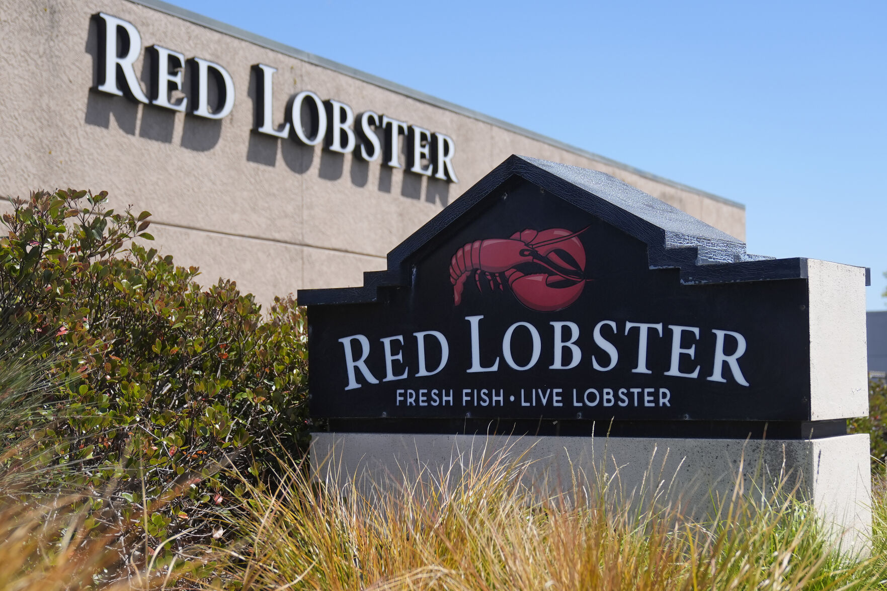 <p>FILE - Signs for a Red Lobster restaurant are shown in San Bruno, Calif., Tuesday, May 14, 2024. Red Lobster has filed for Chapter 11 bankruptcy protection days after shuttering dozens of restaurants. The seafood chain has been struggling for some time with lease and labor costs piling up in recent years and also promotions like its iconic all-you-can-eat shrimp deal. (AP Photo/Jeff Chiu, File)</p>   PHOTO CREDIT: Jeff Chiu 