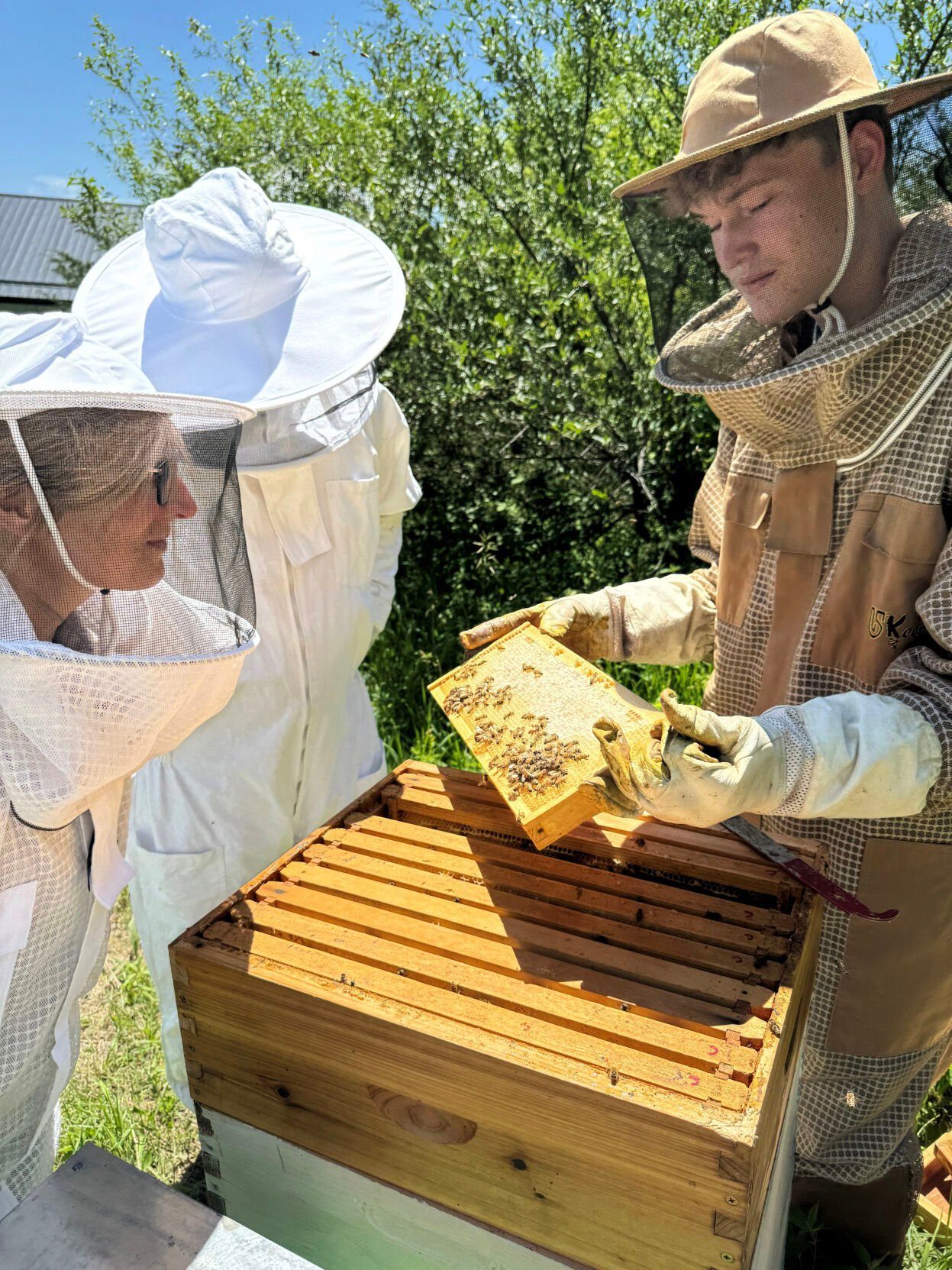 Chase Dittmar (right) completes a hive inspection during a beekeeping boot camp through Dry Creek Beekeeping in Jo Daviess County, Ill.    PHOTO CREDIT: Contributed