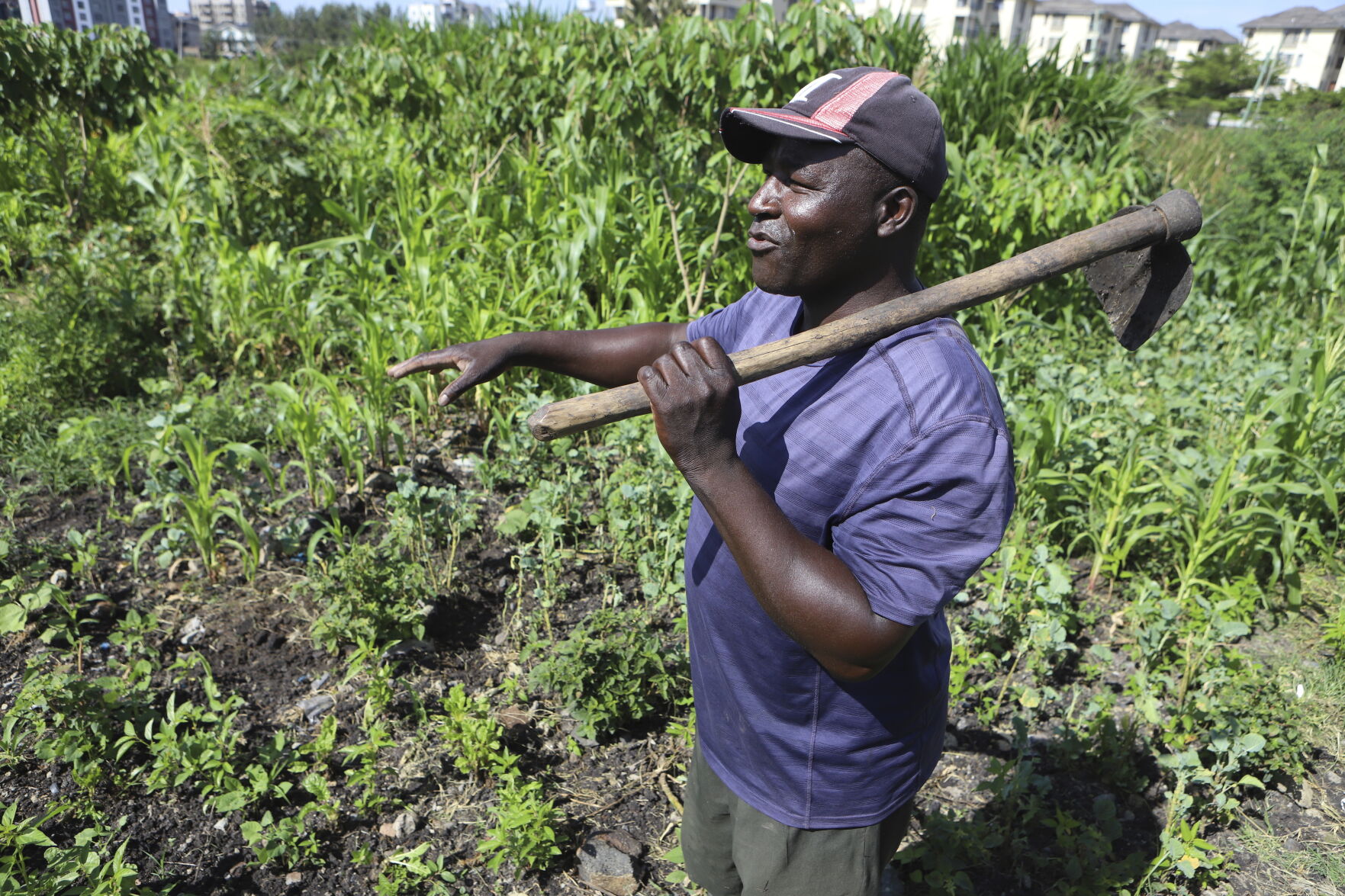 <p>Benson Wanjala talks about the health of his soil at his farm in Machakos, Kenya, Tuesday, May 21, 2024. (AP Photo/Andrew Kasuku)</p>   PHOTO CREDIT: Andrew Kasuku 