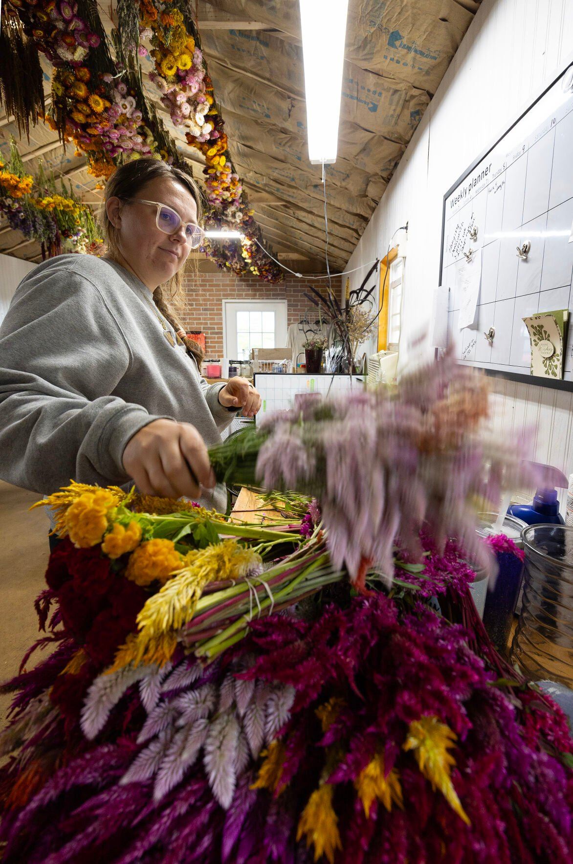 Becky Mumm bundles flowers at Rech Family Gardens in Lancaster, Wis., on Friday.    PHOTO CREDIT: Stephen Gassman