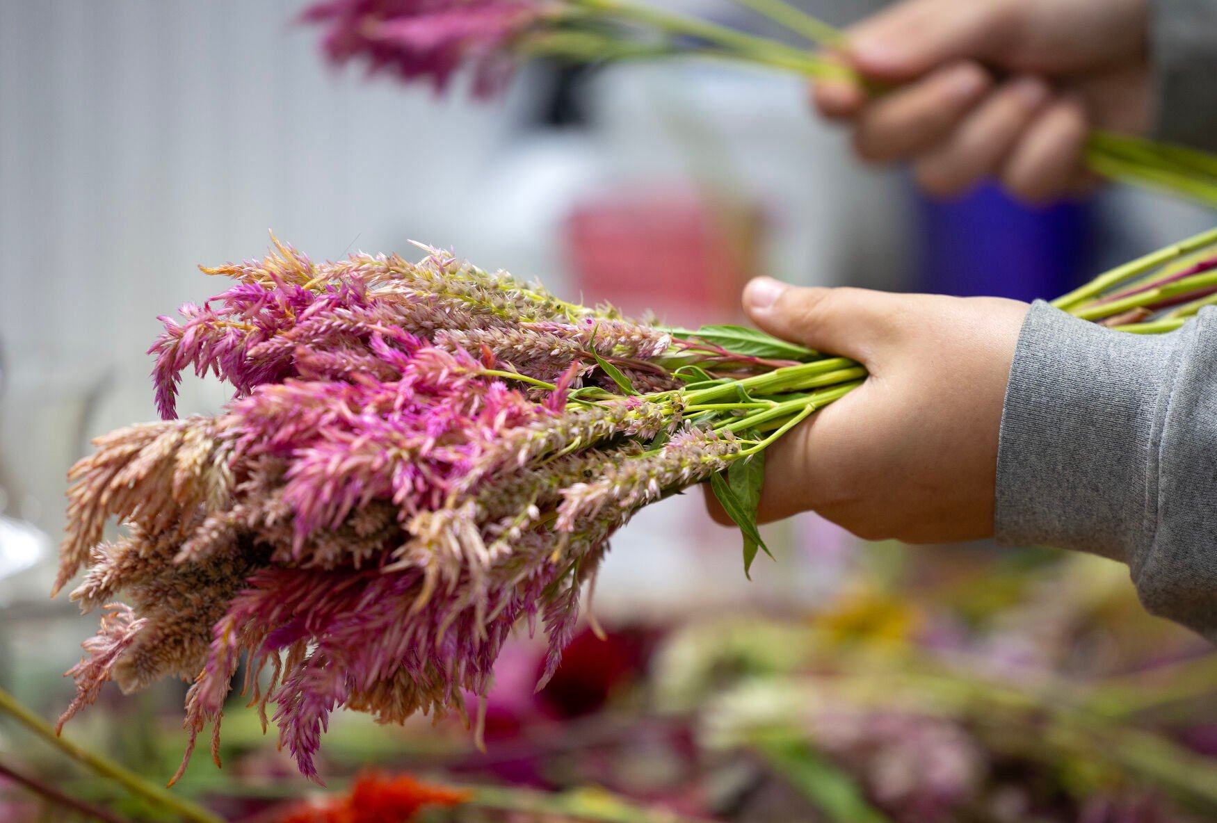 Becky Mumm bundles flowers at Rech Family Gardens in Lancaster, Wis.    PHOTO CREDIT: Gassman