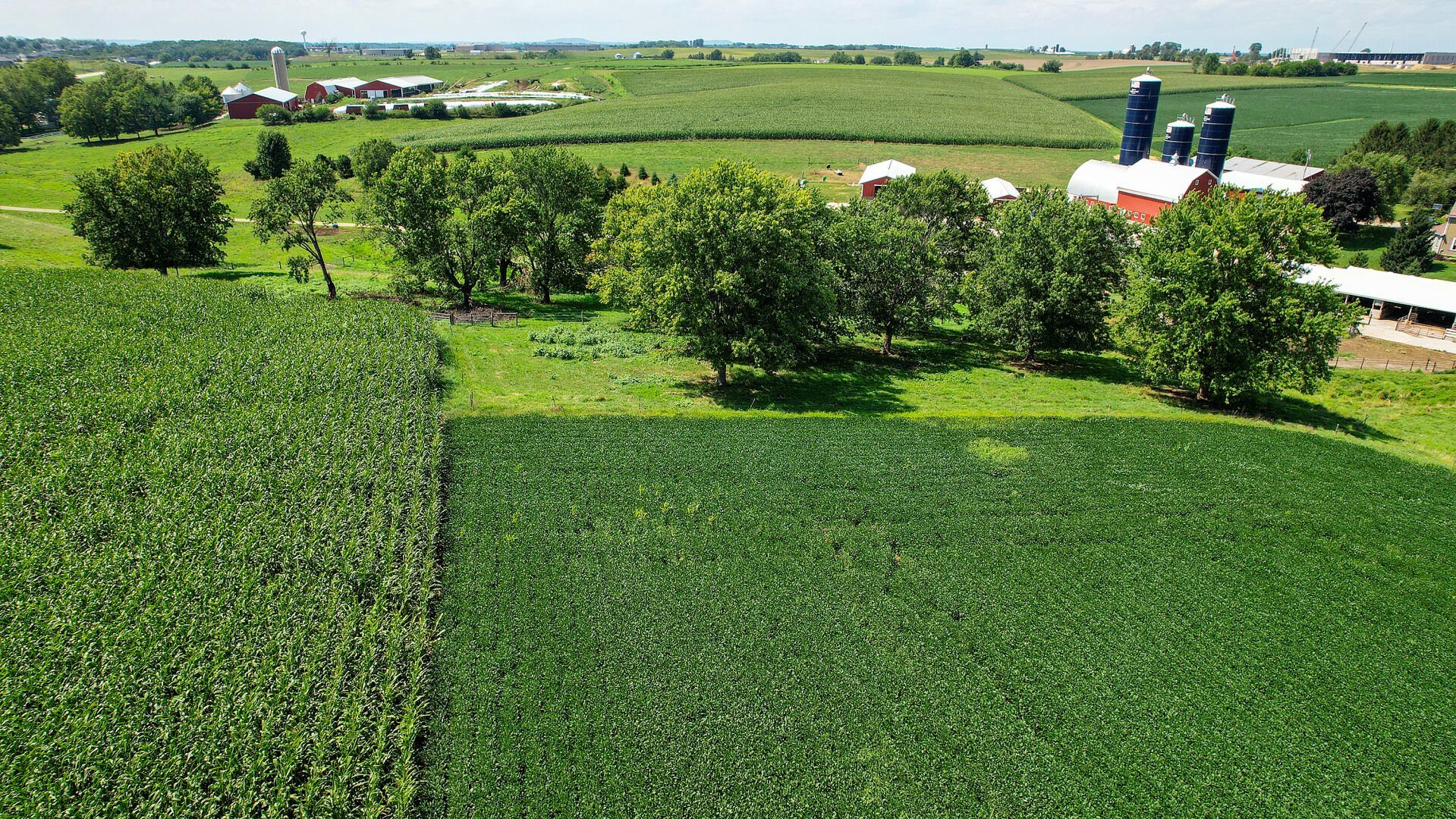 Corn and soybean crops spread across acreage in rural Kieler, Wis.    PHOTO CREDIT: Dave Kettering