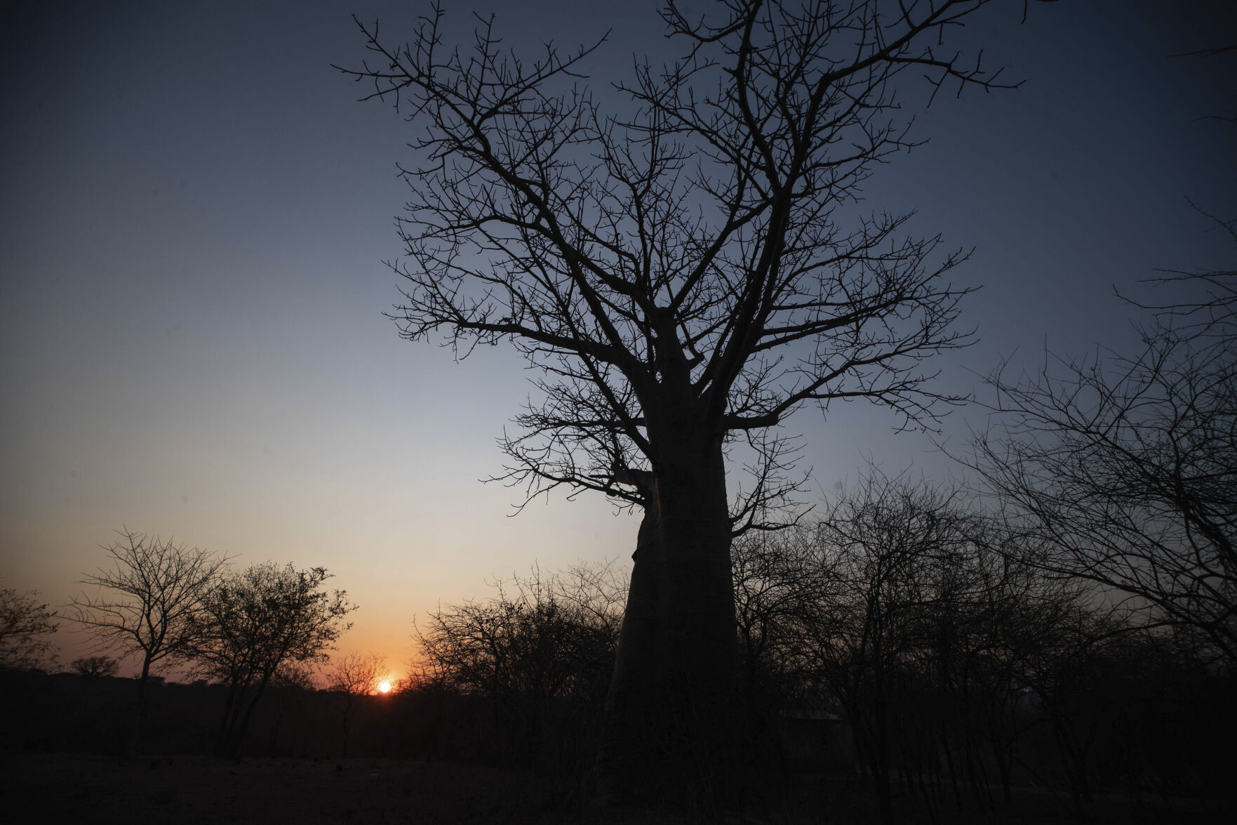 <p>The sun sets behind a baobab tree, known as the tree of life, in Mudzi, Zimbabwe, Thursday, Aug. 22, 2024. (AP Photo/Aaron Ufumeli)</p>   PHOTO CREDIT: Aaron Ufumeli 